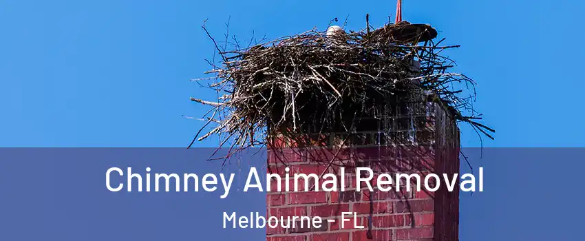 Chimney Animal Removal Melbourne - FL