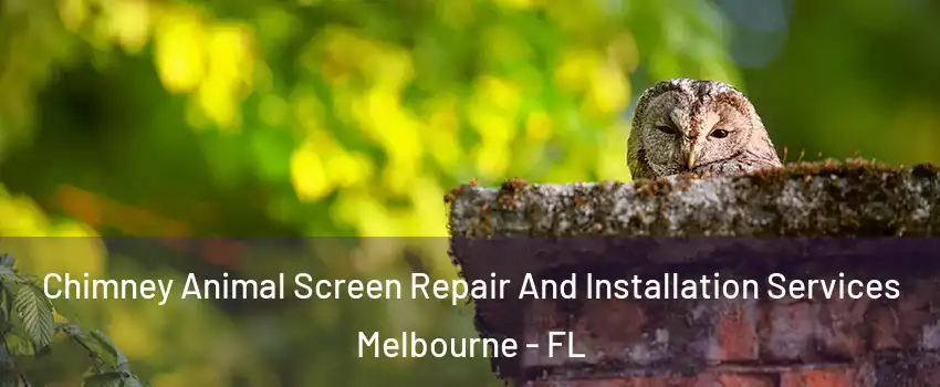  Chimney Animal Screen Repair And Installation Services Melbourne - FL