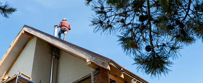 Birds Removal Contractors from Chimney in Melbourne, FL