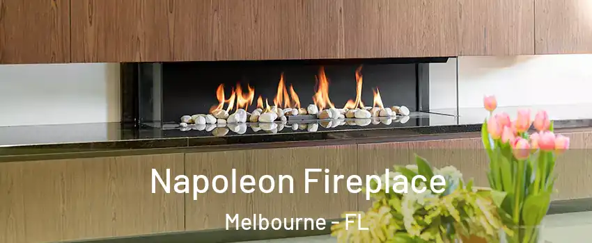  Napoleon Fireplace Melbourne - FL